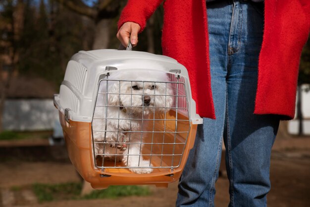 front-view-owner-with-pet-carrier_23-2150238739